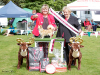 Wellington Toy Dog Club