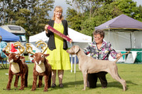 KBP22298