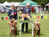 KBP22436