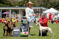 Best in Show