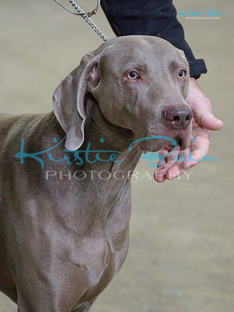 KBS11356