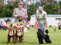 KBP23148