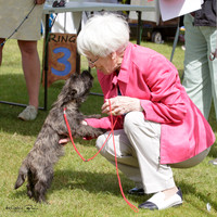 Wellington Ladies Kennel Association