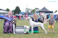 Gundogs