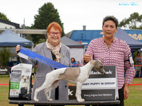 KBS12950