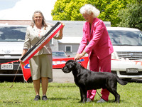 The Gundog Society