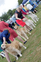 Whanganui & District Gundog Society