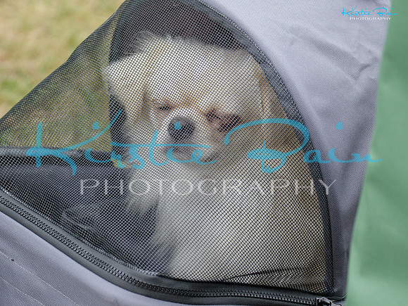 KBS14239