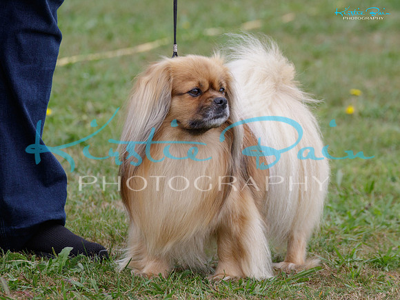 KBS14171