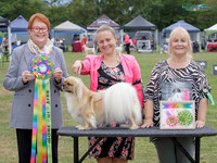Best in Show