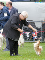 Wellington Kennel Centre