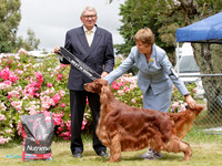 Best in Show