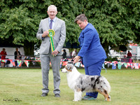 Wellington Working Dog Club