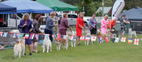 Central Territories Siberian Husky Club