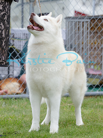 KBP24950
