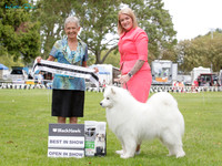 Best in Show