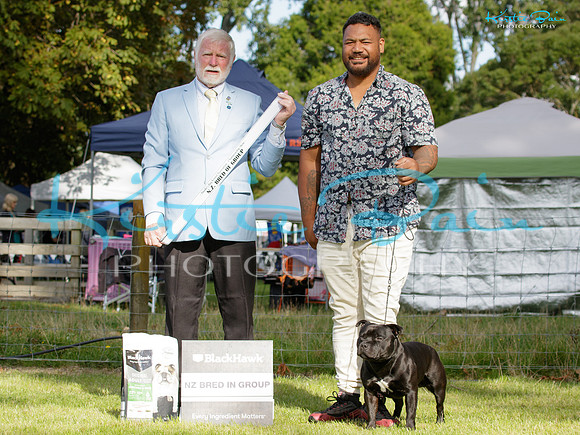 KBS16466