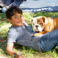 Hawkes Bay Kennel Association