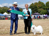 Best in Show
