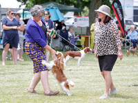 Rotorua Open Show