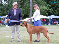 KBP29109 (1)