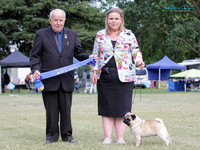 Best in Show