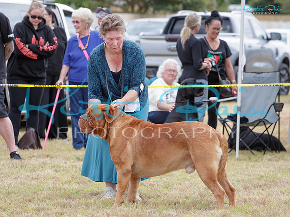 KB015531