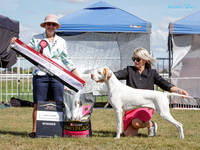 Best in Show