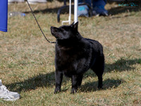 KB018253