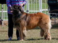 KB017911