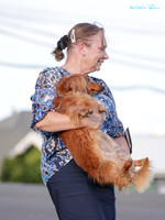 Wairoa Kennel Association