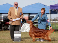 Gundogs