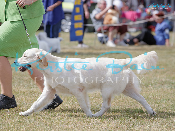 KB019608