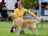 Central Golden Retriever Club