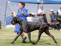 KB010808