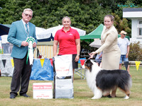 Best in Show