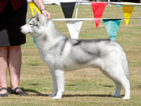 KBP21146
