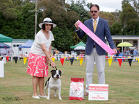 Terriers
