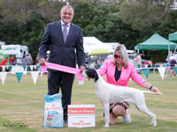 Gundogs