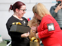 Wellington Bulldog Club