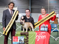 Best in Show