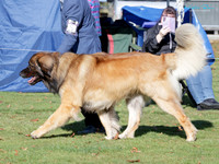 KB012860