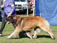 KB012872