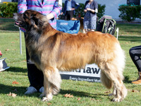 KB012875