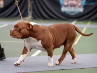 KB013689