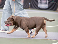 KB015249