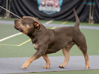 KB015186