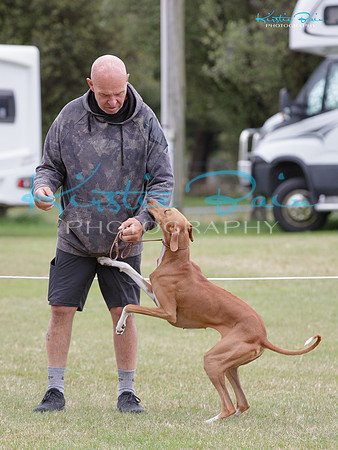 KBP25324