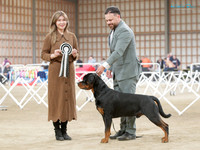 Best in Show
