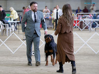 The Non-sporting & Utility Dog Society